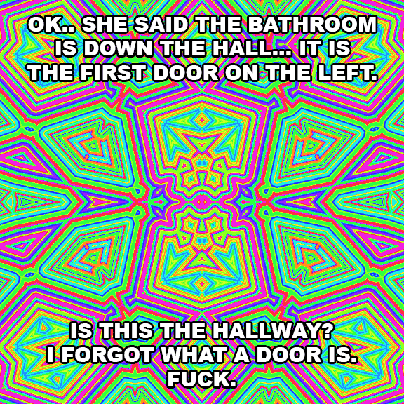 Why do transsexuals in real life often look like deer? Are they just